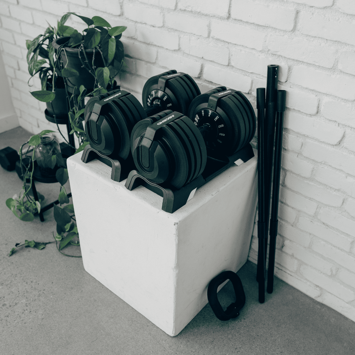 Ensembles : Haltères ajustables Ascend 3-en-1 (7 à 52,5 lb) et banc