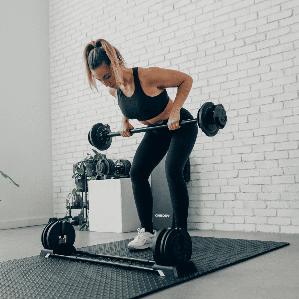 V fit barbell hotsell