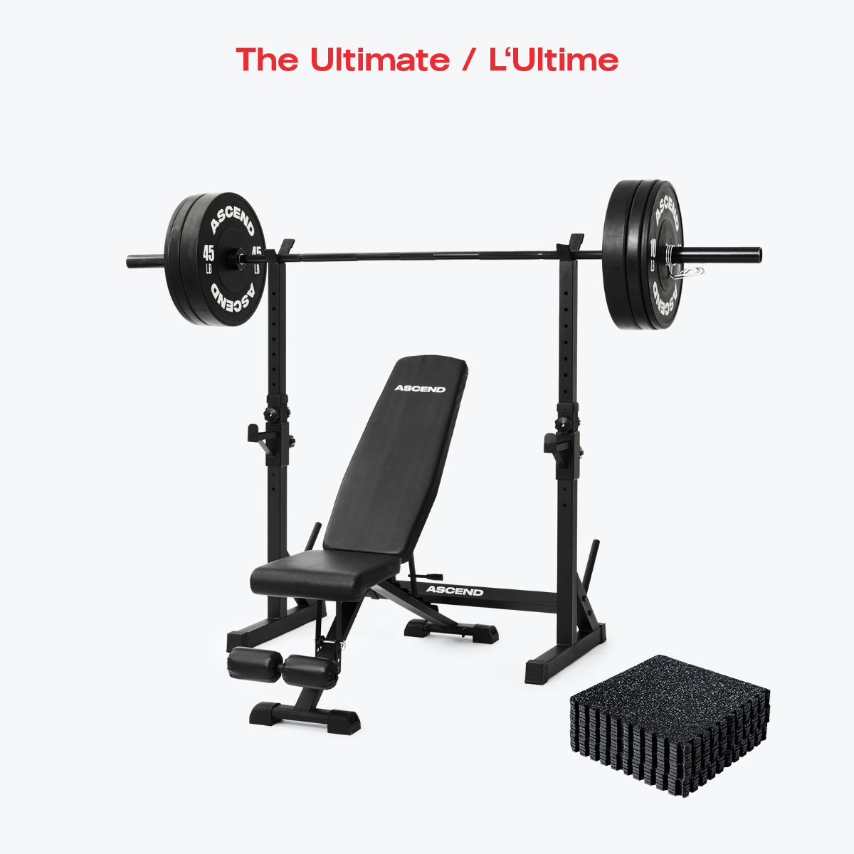 Bench Game Store Training Equipment Trojan Gym Equipment Trojan