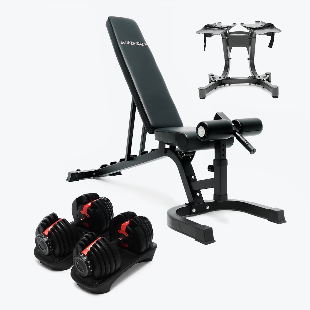 Weights bench 2025 and dumbbells