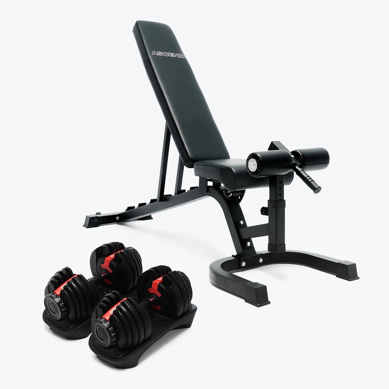 Banc de musculation ajustable et haltères sur fond blanc.
